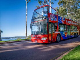 Bus