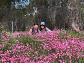 Perths Tiny Tours, Perth, Western Australia