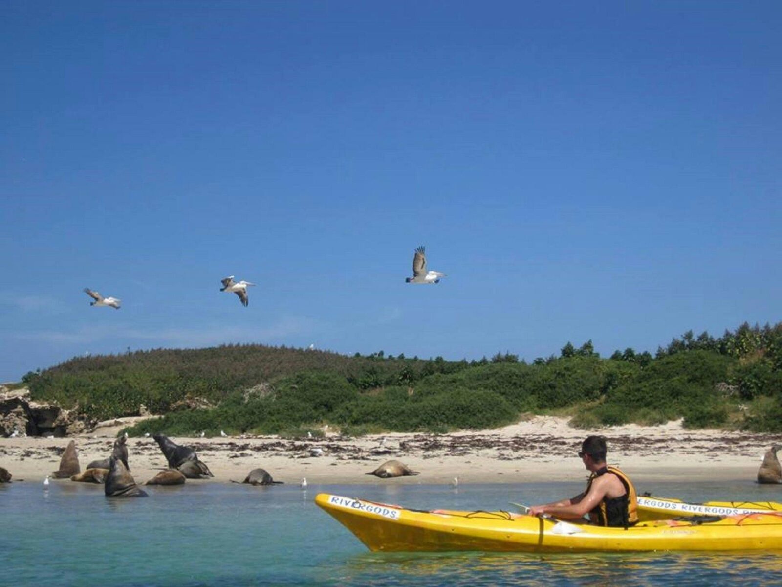 Rivergods, Western Australia