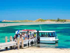 Rockingham Wild Encounters, Rockingham Beach, Western Australia