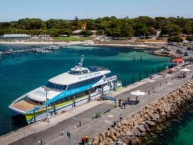 Harbour Master