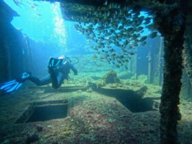Scuba Obsession