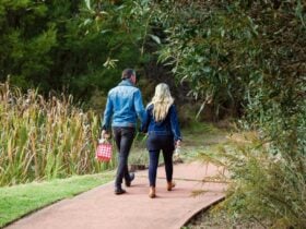 A grat day out for couples