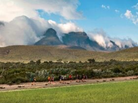 Stirling Range Ridge Walkk