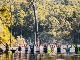 Karri Valley retreat. Stunning nature surrounded by tall Karri trees. Swim in the beautiful lake.