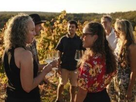 private wine tour