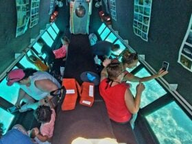 Lower Deck Semi Submersible Glass Bottom Boat