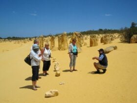 WA NT Tours, Willagee, Western Australia