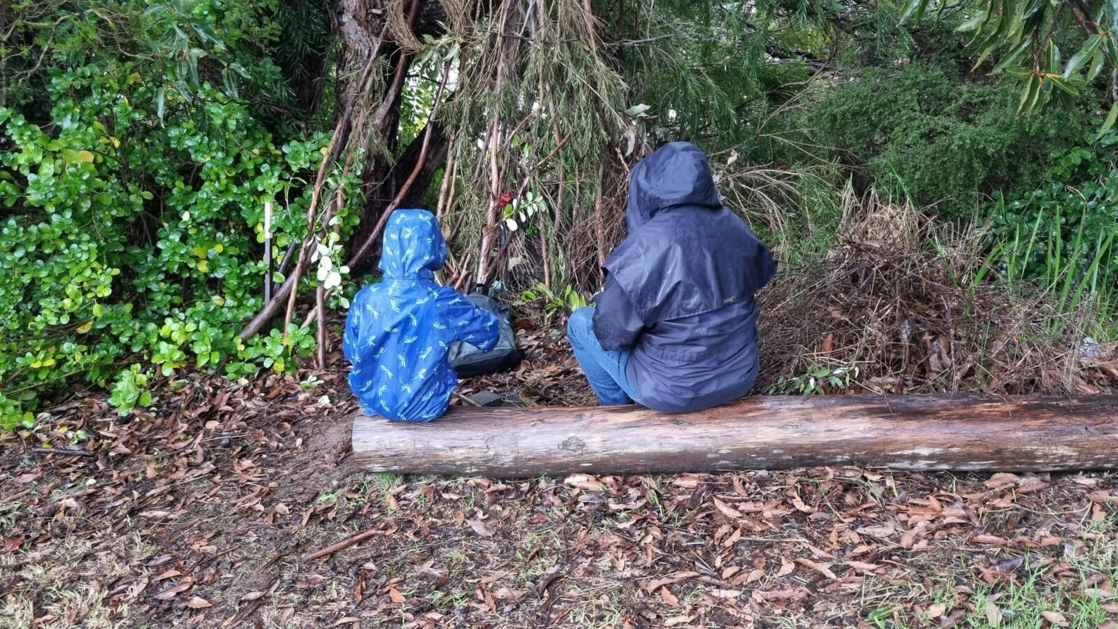 Whittling and den building in winter