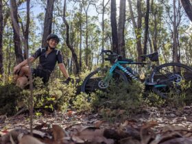 Vanessa Johnson near Nannup