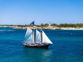 Willie Cruises Rottnest Island Day Sail