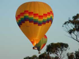 Windward Balloon Adventures