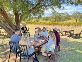 Wine Tasting under the tree at Hay Shed Hill Winery Margaret River