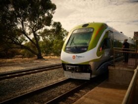 Transwa Train Service