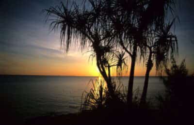 Things to do in Darwin